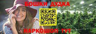 apvp Нарткала