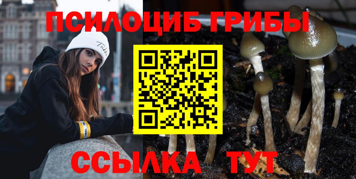 Псилоцибиновые грибы MAGIC MUSHROOMS Симферополь
